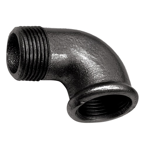 COUDE NOIR FILETE MALE - FEMELLE